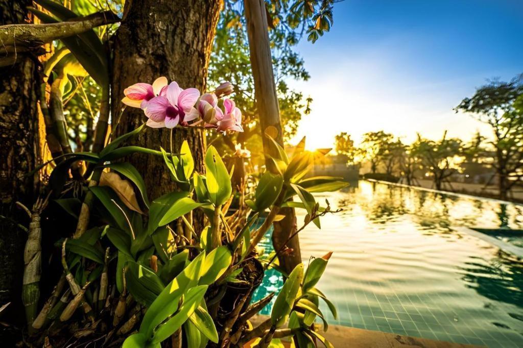 Ban Hat Lek Chatnipa Beach Resort By Morseng מראה חיצוני תמונה